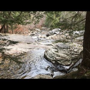 Meet your Posher, Zoe